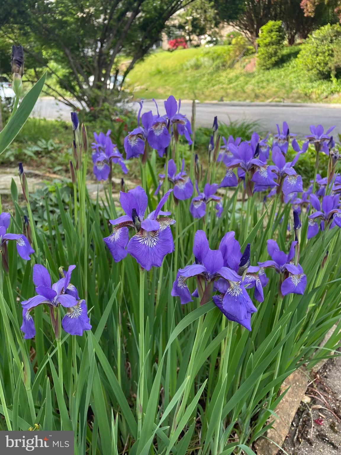 9302 LONG BRANCH PARKWAY