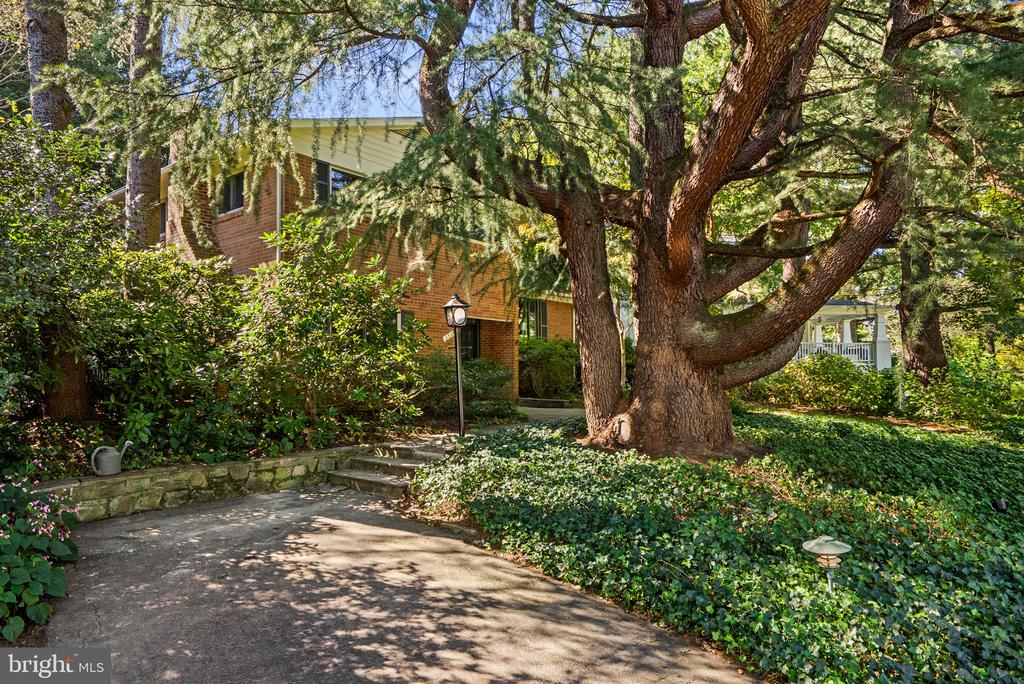 3510 FREDERICK PLACE