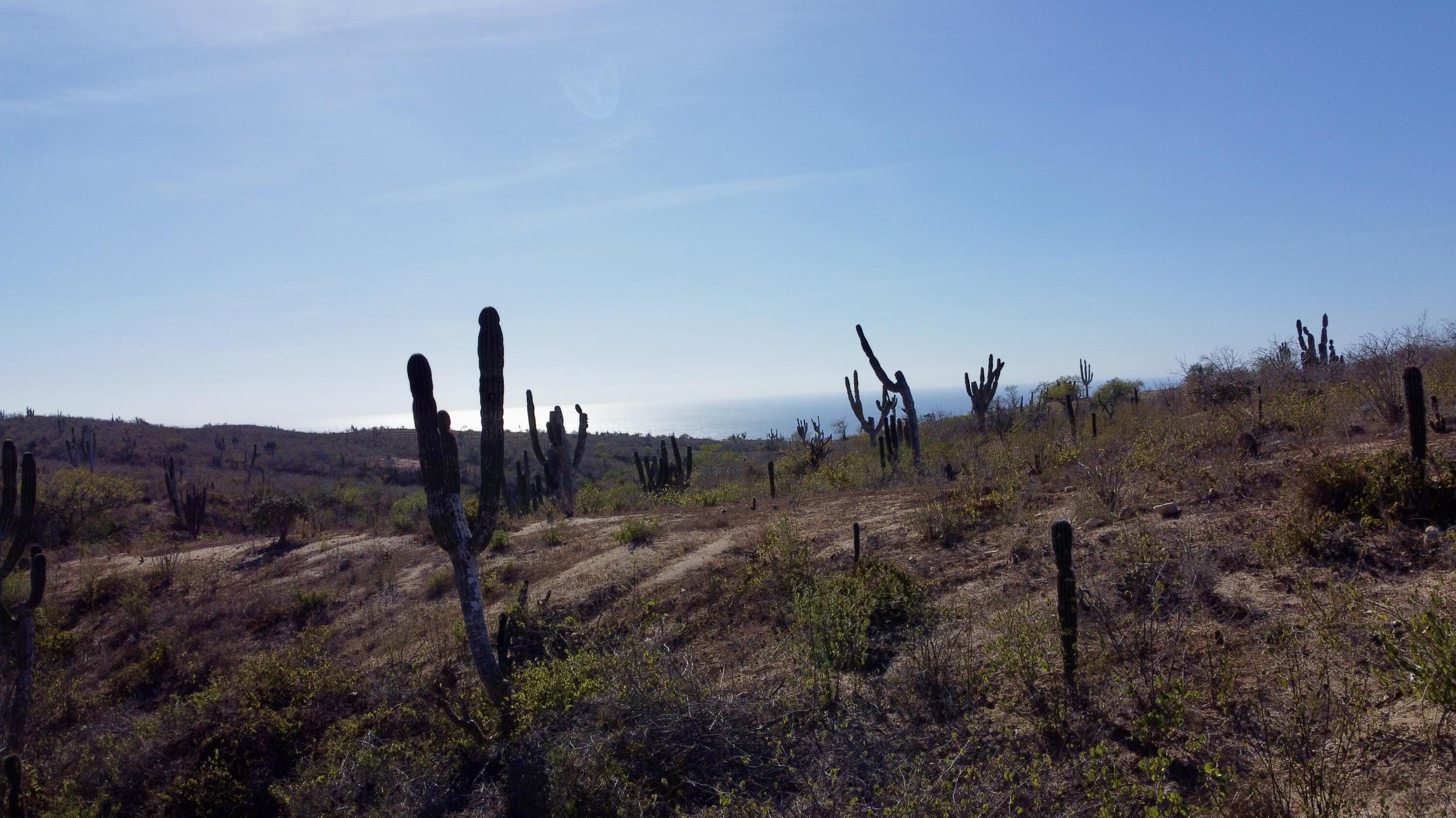 lot 4 block 15, Rolling Hills