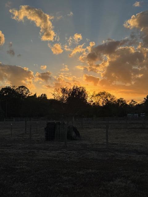 5315 SW Ranchito Street