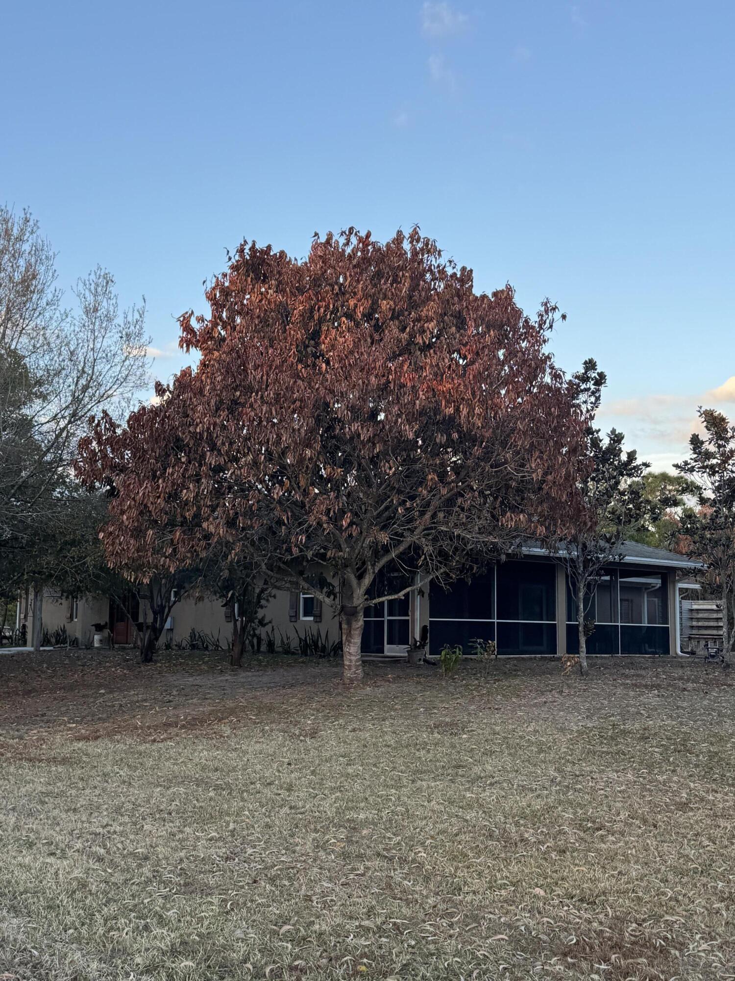 5315 SW Ranchito Street