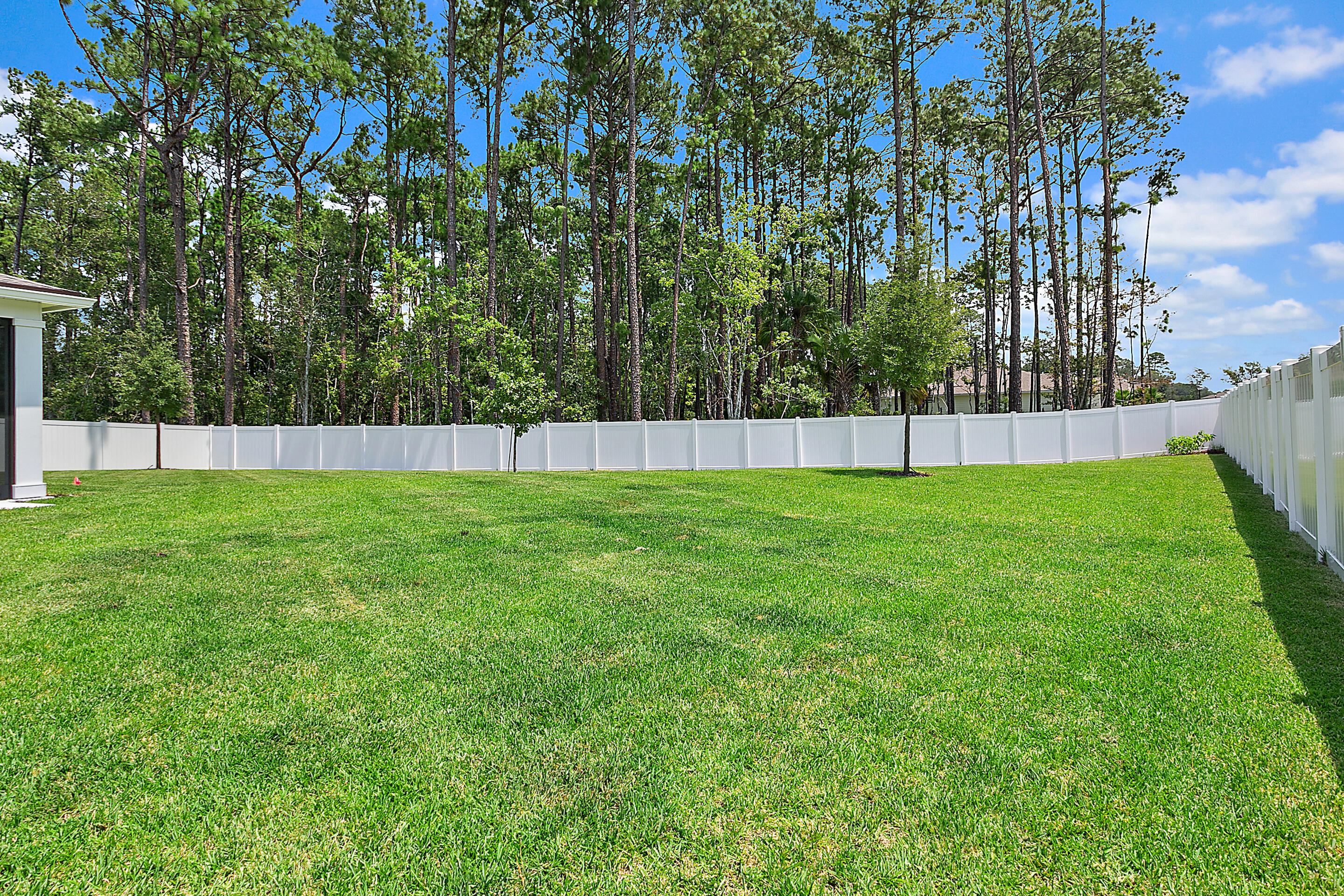 12411 Clapboard Bluff Trail, Jacksonville