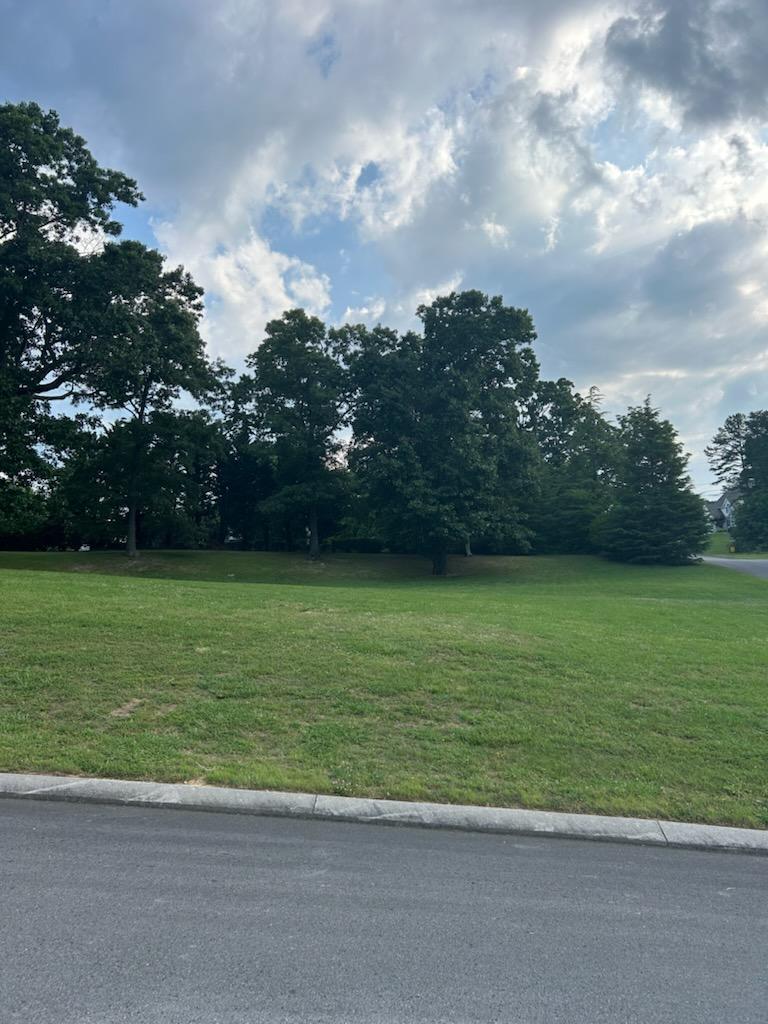 0 Fieldstone Drive, Lot # 1