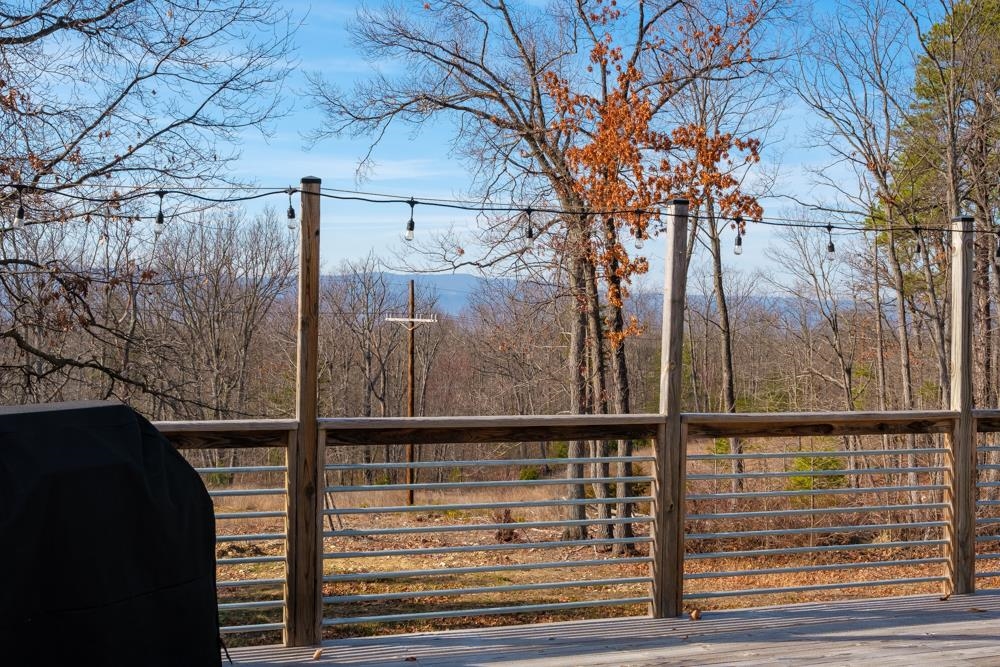 2497 DOVE LANDING DR