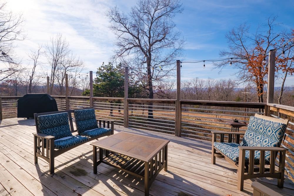 2497 DOVE LANDING DR