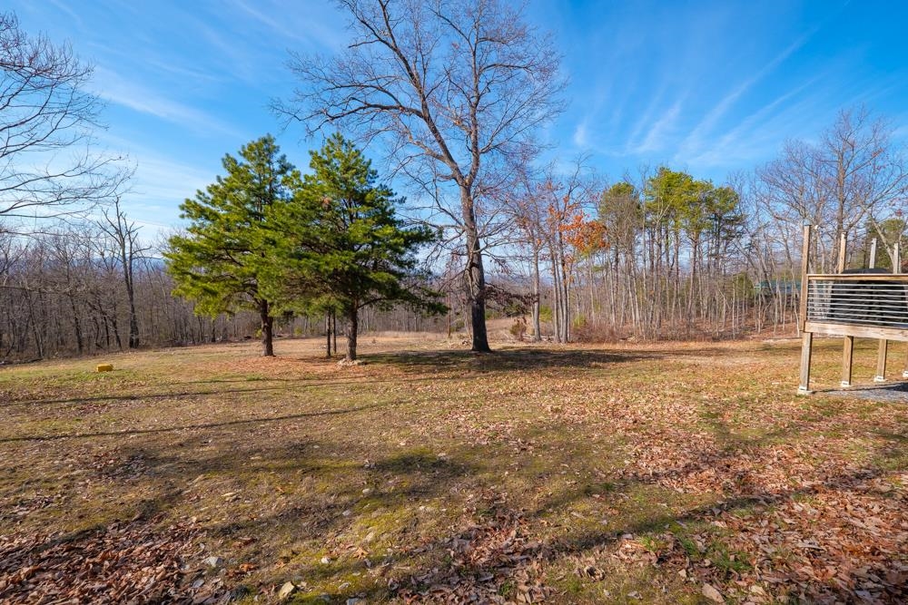 2497 DOVE LANDING DR