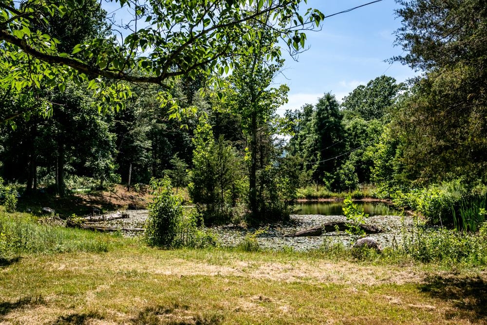 18853 MT PLEASANT RD