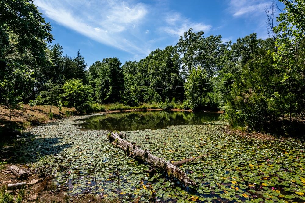 18853 MT PLEASANT RD