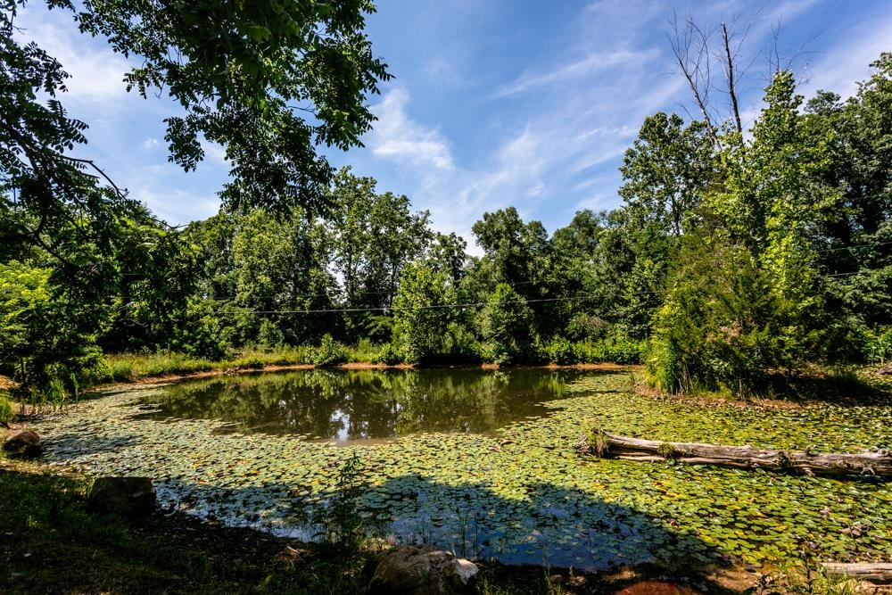 18853 MT PLEASANT RD