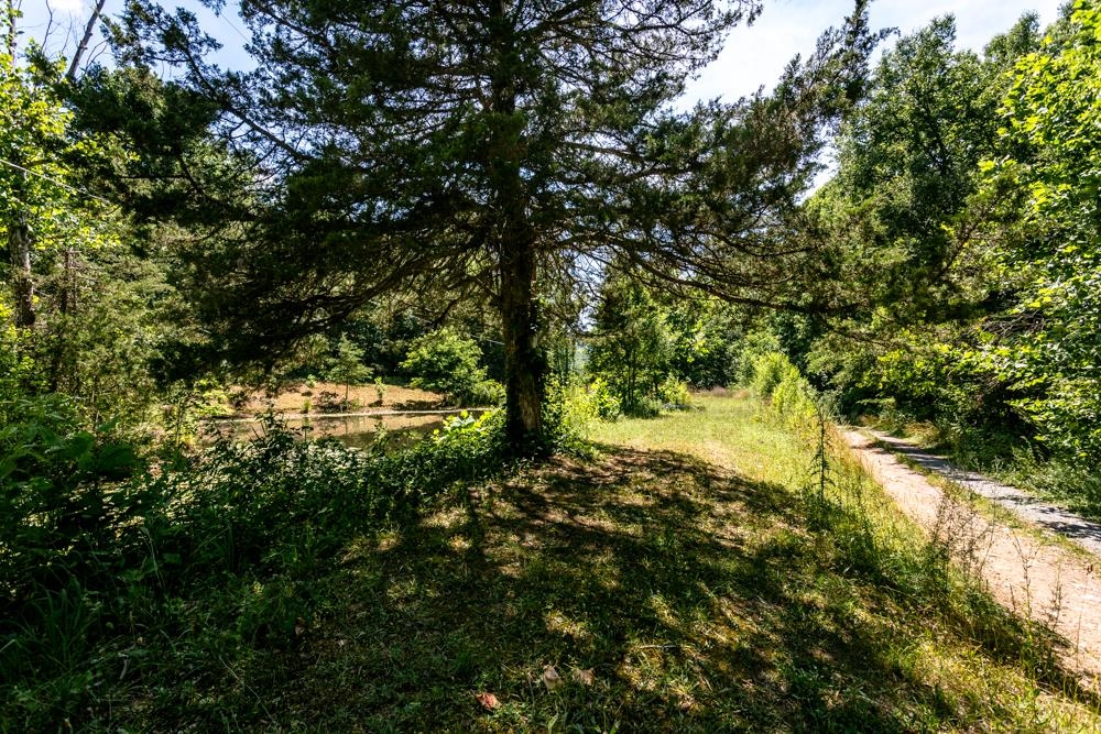 18853 MT PLEASANT RD