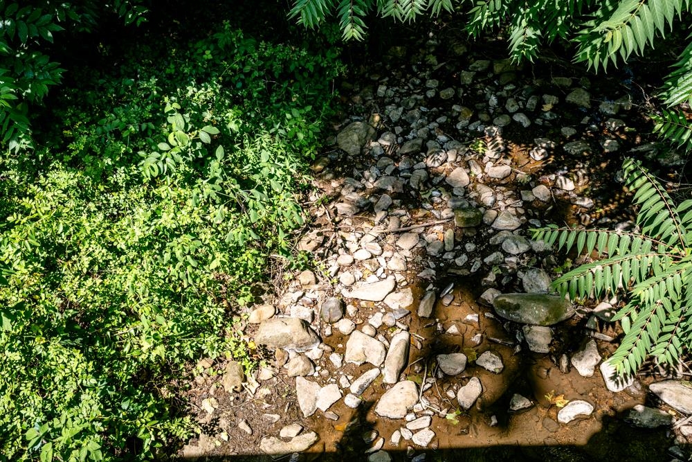 18853 MT PLEASANT RD