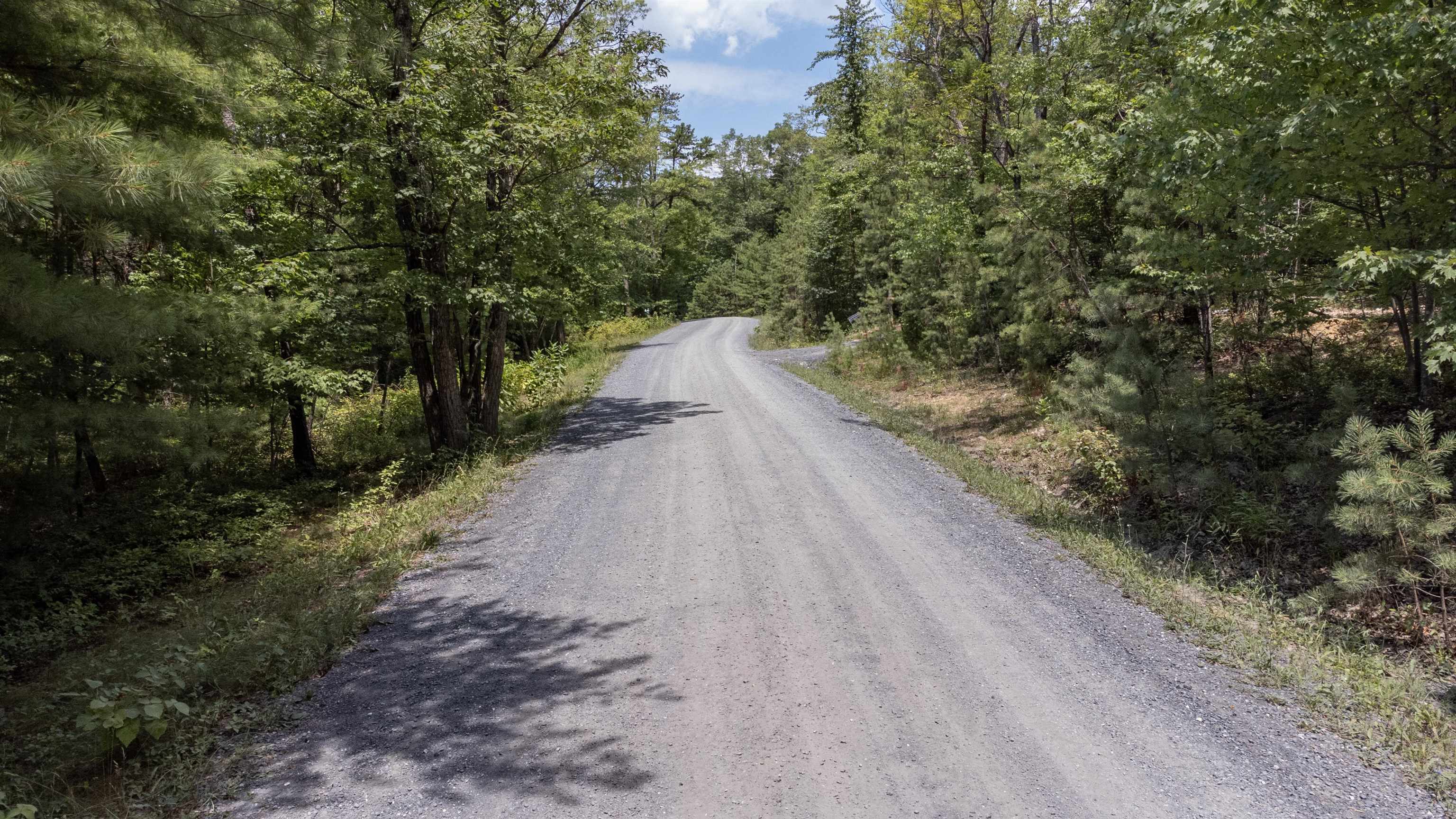 TBD BIRDS NEST RD Unit: 51