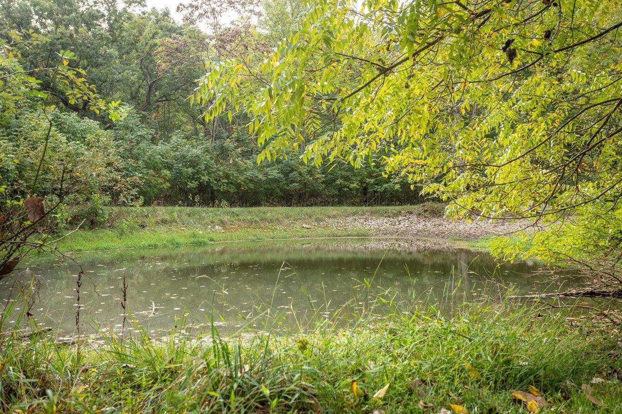 12159 TURLEYTOWN RD