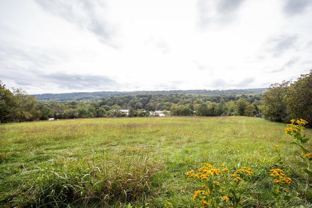 12159 TURLEYTOWN RD