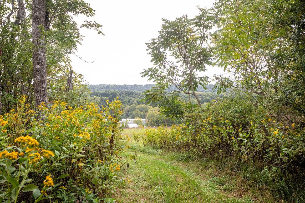 12159 TURLEYTOWN RD