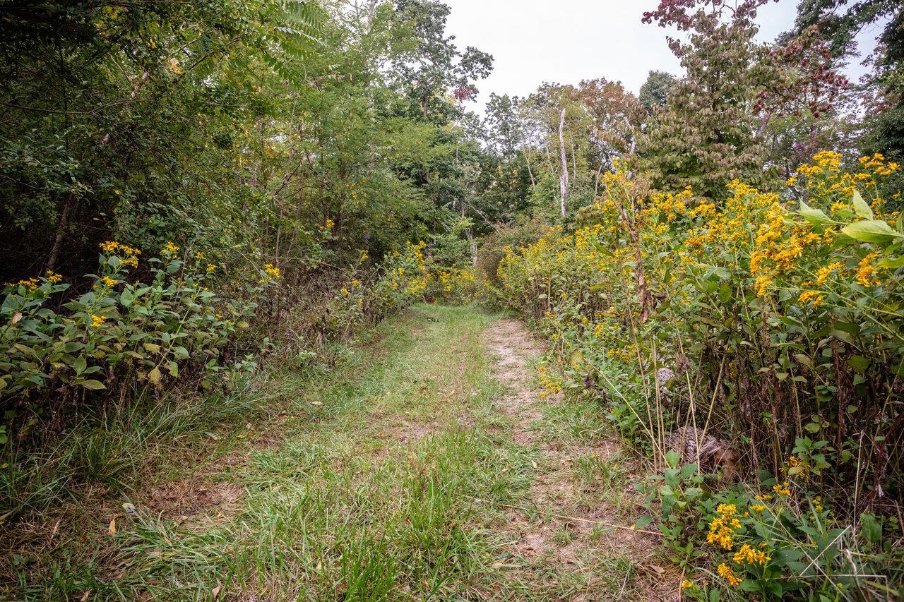 12159 TURLEYTOWN RD