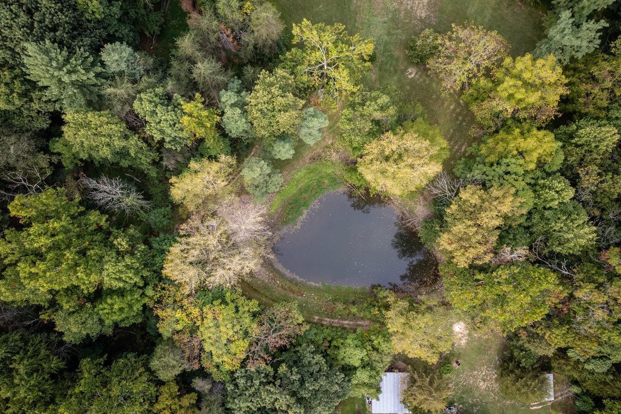 12159 TURLEYTOWN RD