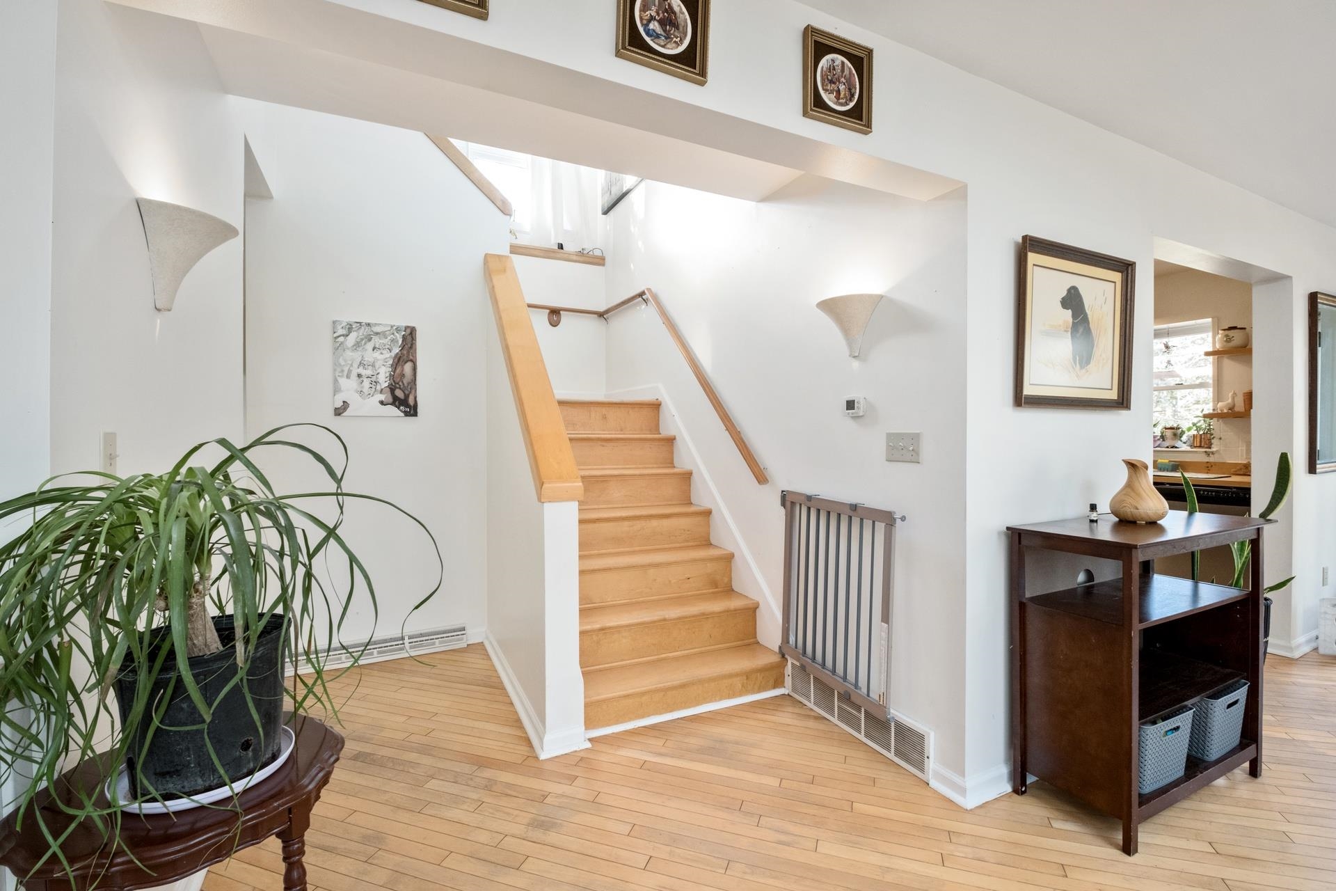 66 SAMUEL BEARS RD