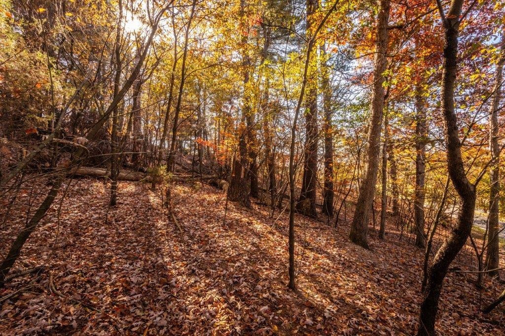 14620 HOPKINS GAP RD