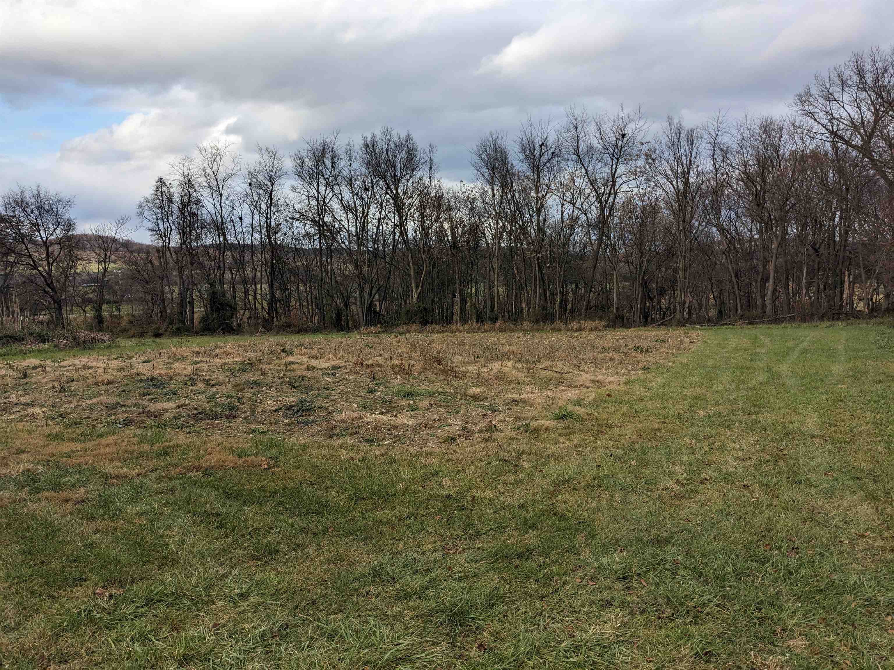 13631 PINEY WOODS RD