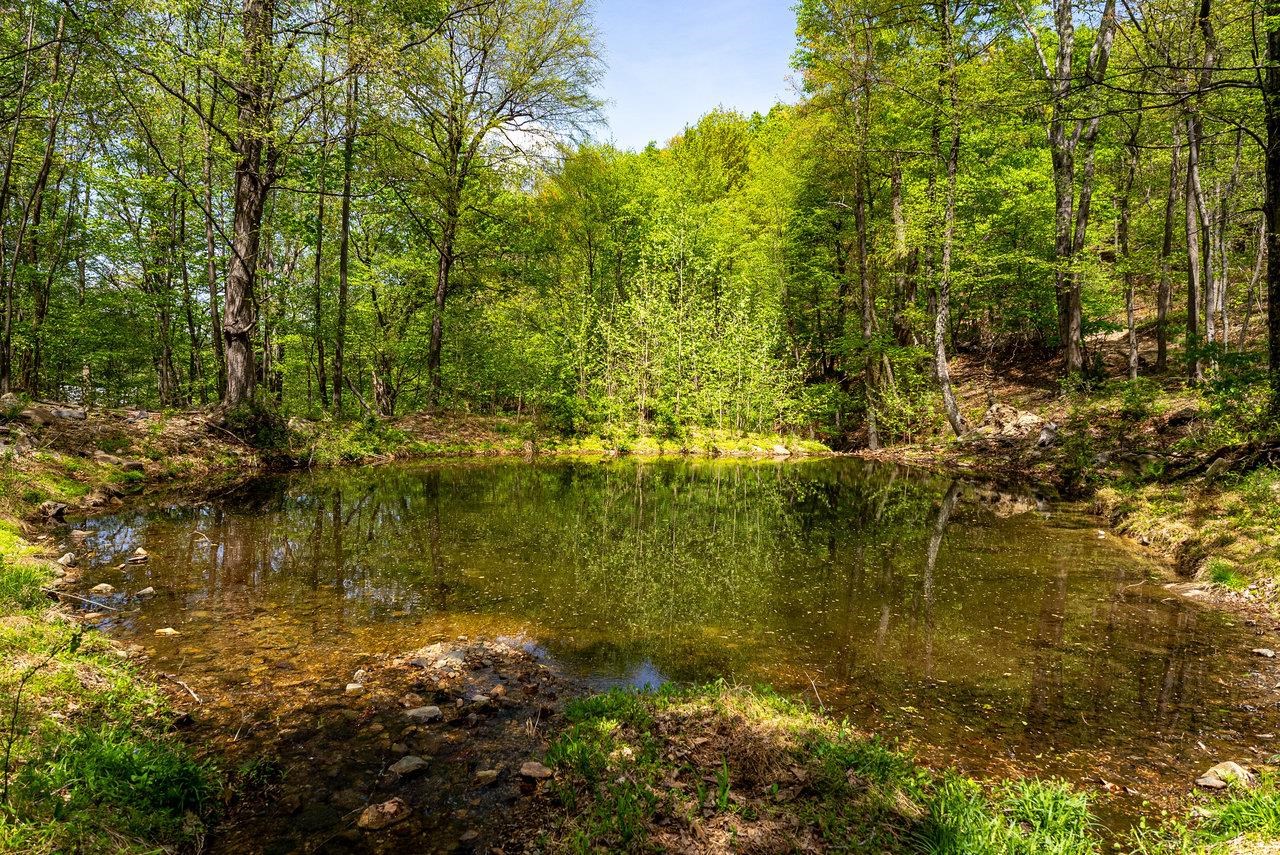 01 CUBBAGE HOLLOW RD