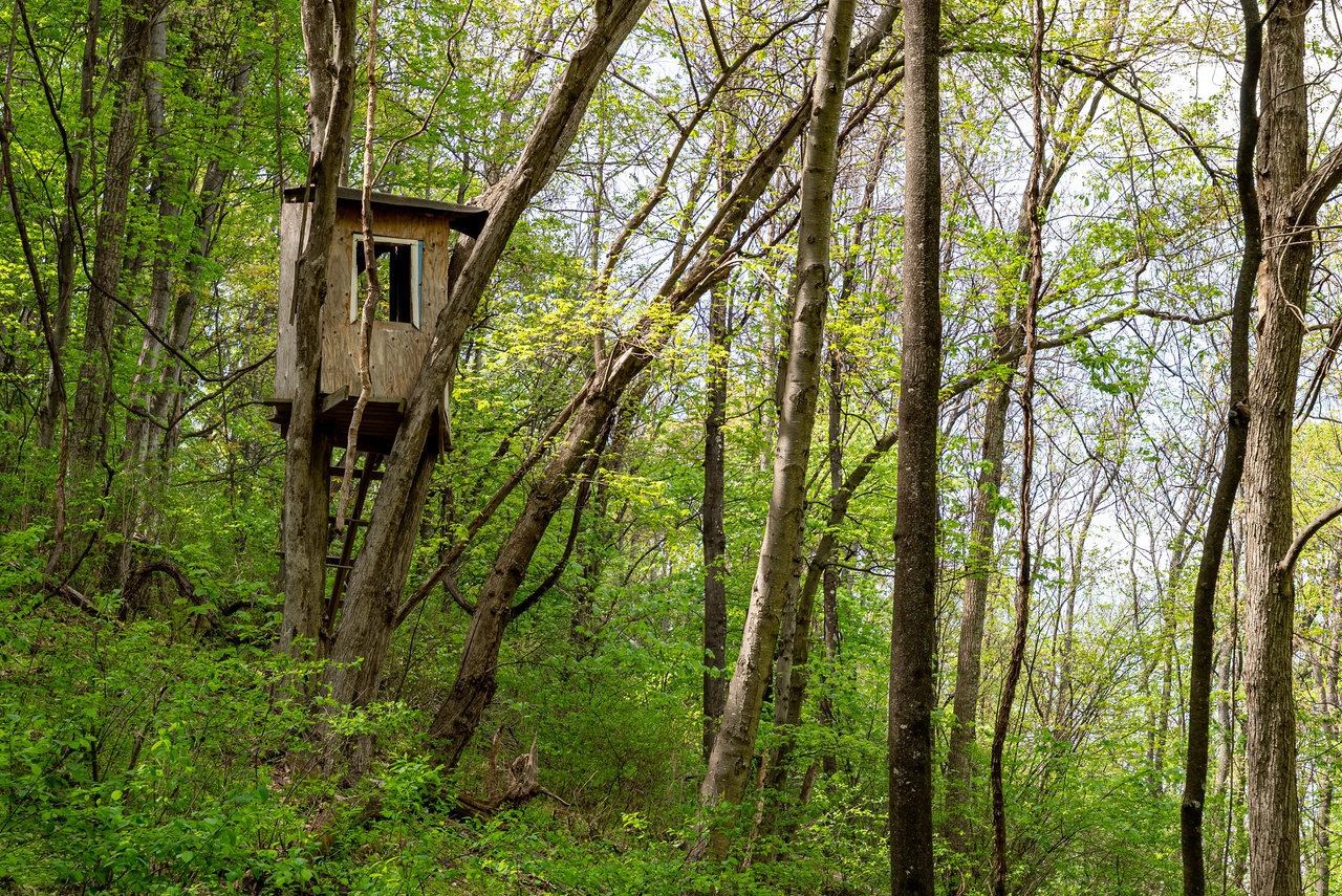 01 CUBBAGE HOLLOW RD