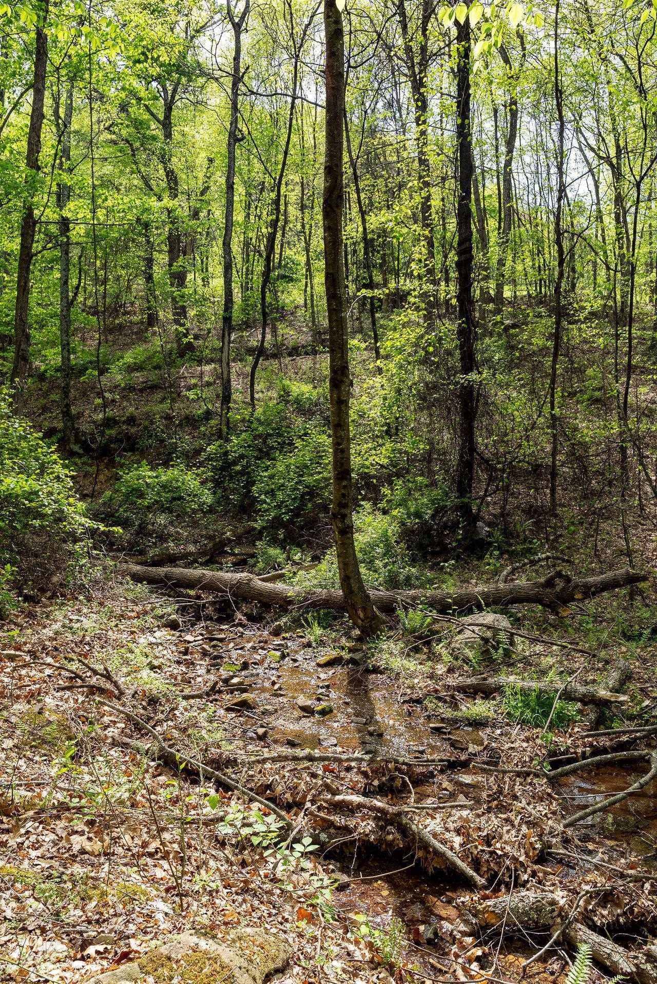 01 CUBBAGE HOLLOW RD