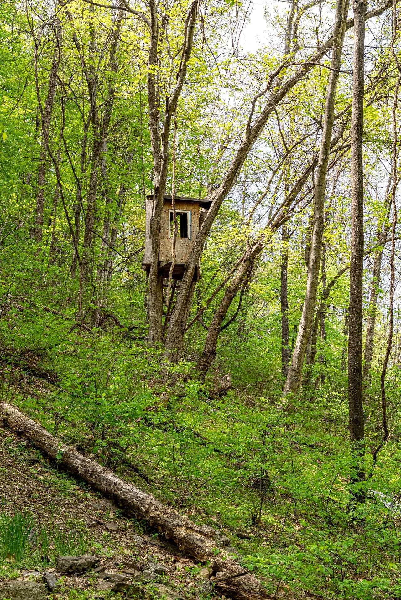 01 CUBBAGE HOLLOW RD