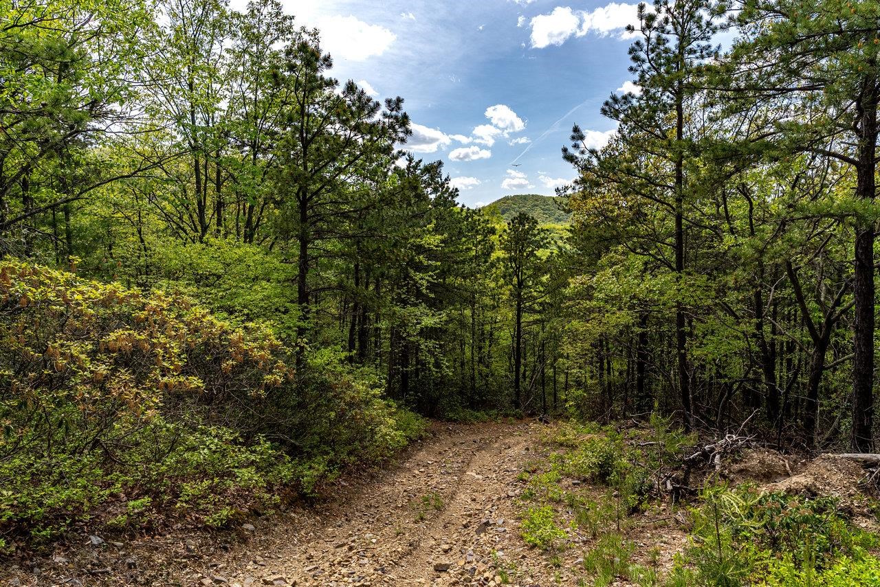 01 CUBBAGE HOLLOW RD