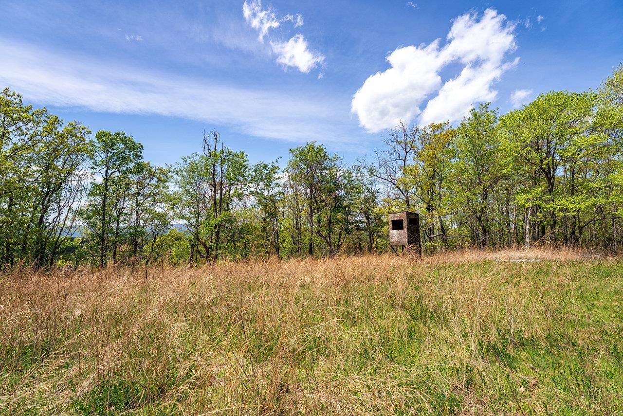 01 CUBBAGE HOLLOW RD