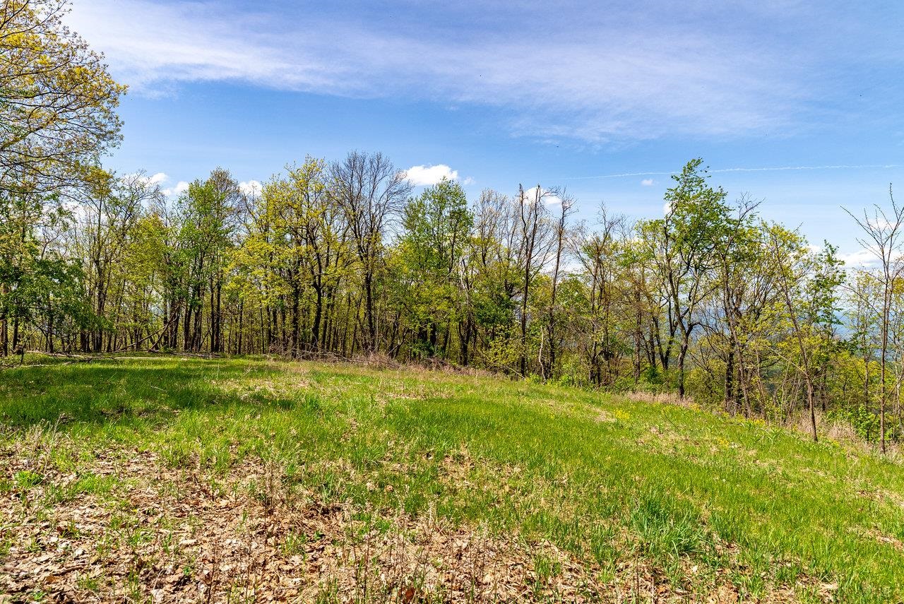 01 CUBBAGE HOLLOW RD