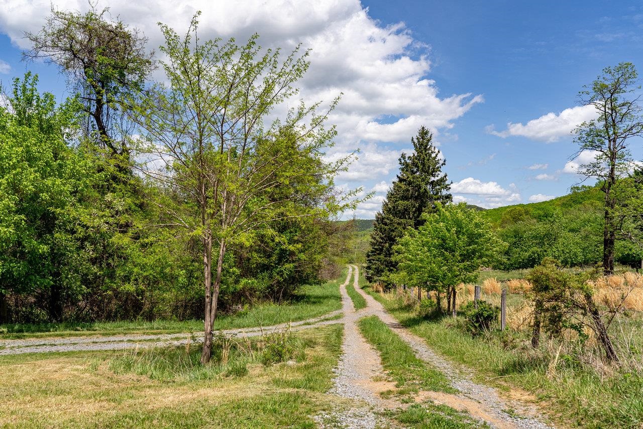 01 CUBBAGE HOLLOW RD