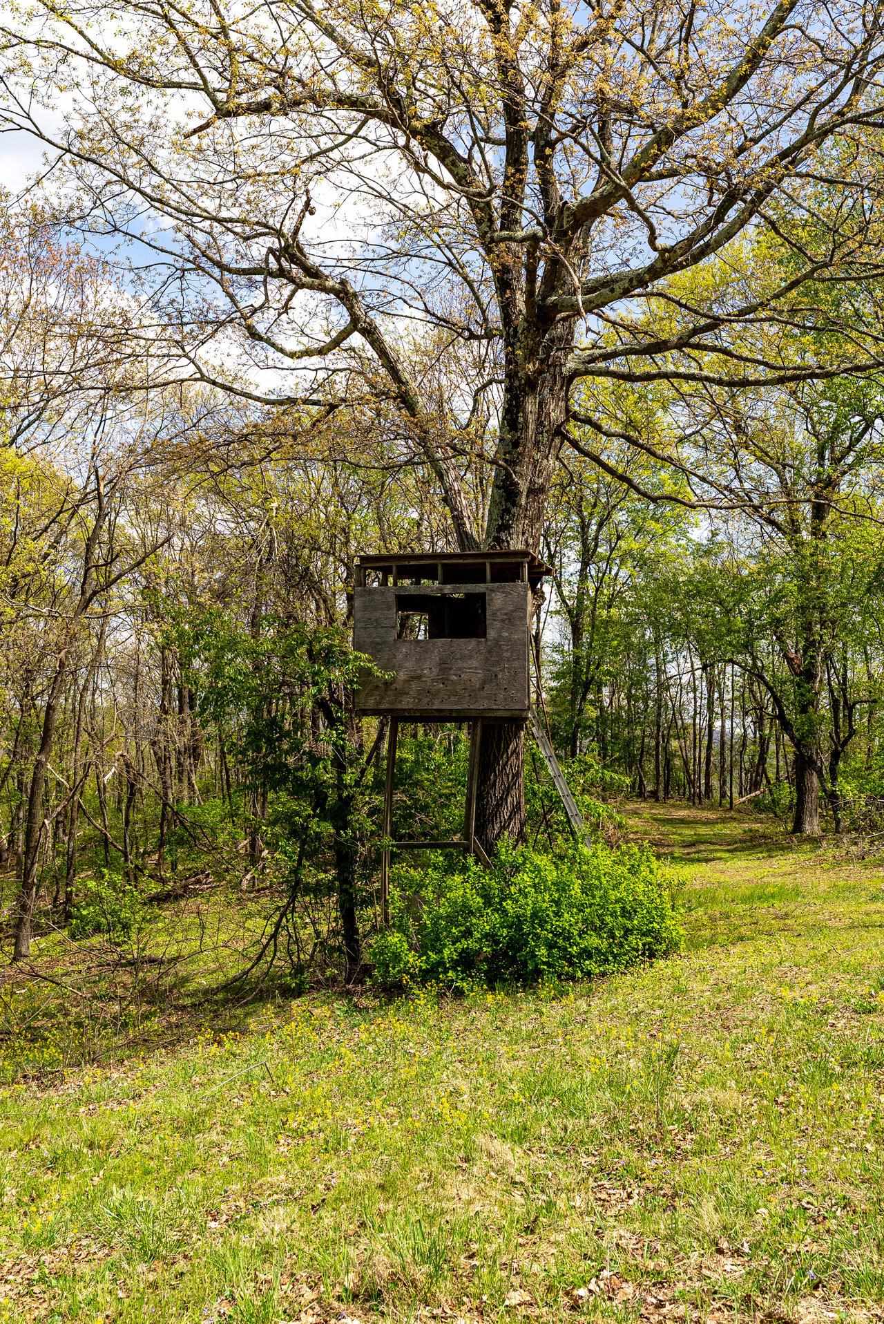 01 CUBBAGE HOLLOW RD