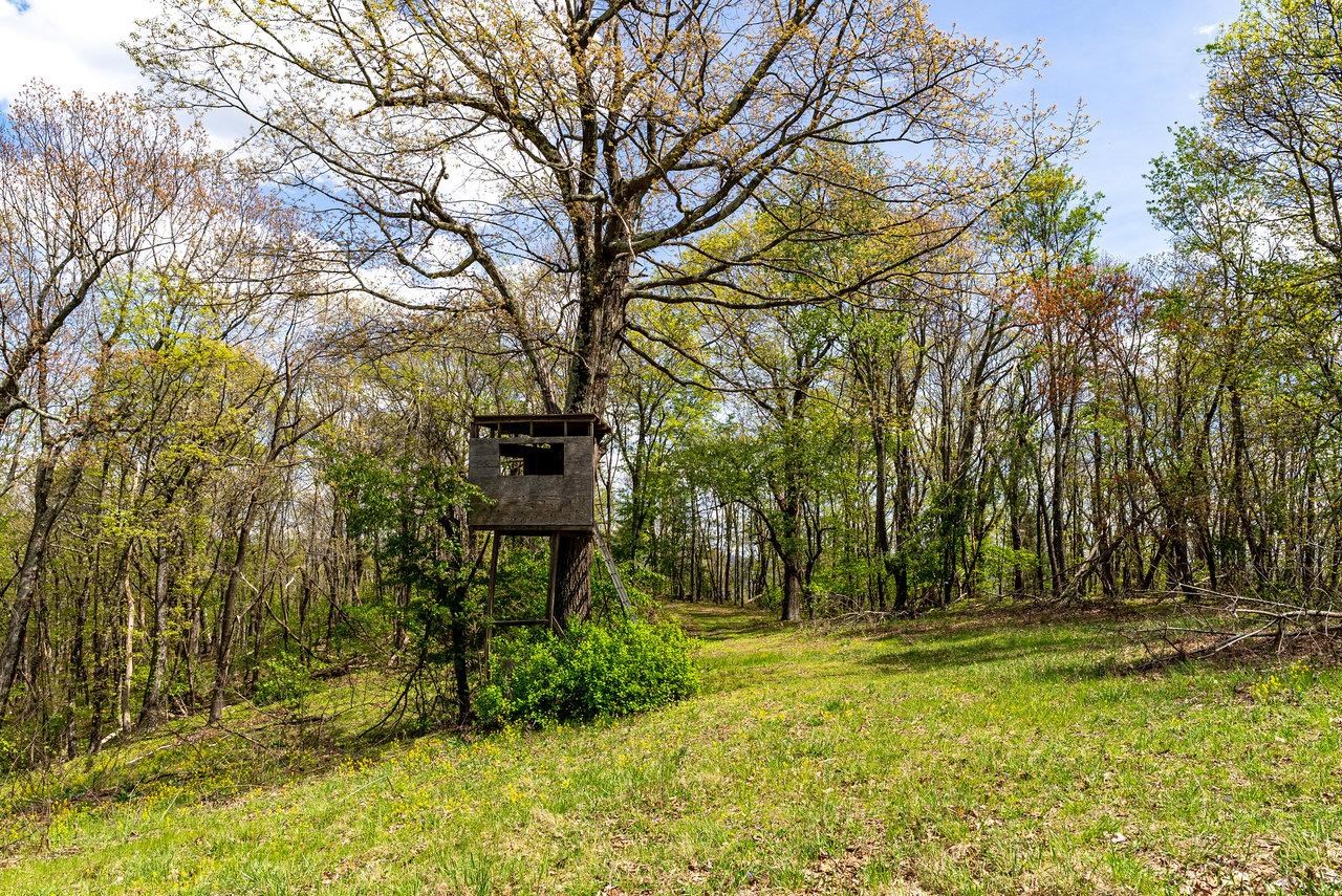 1797 CUBBAGE HOLLOW RD