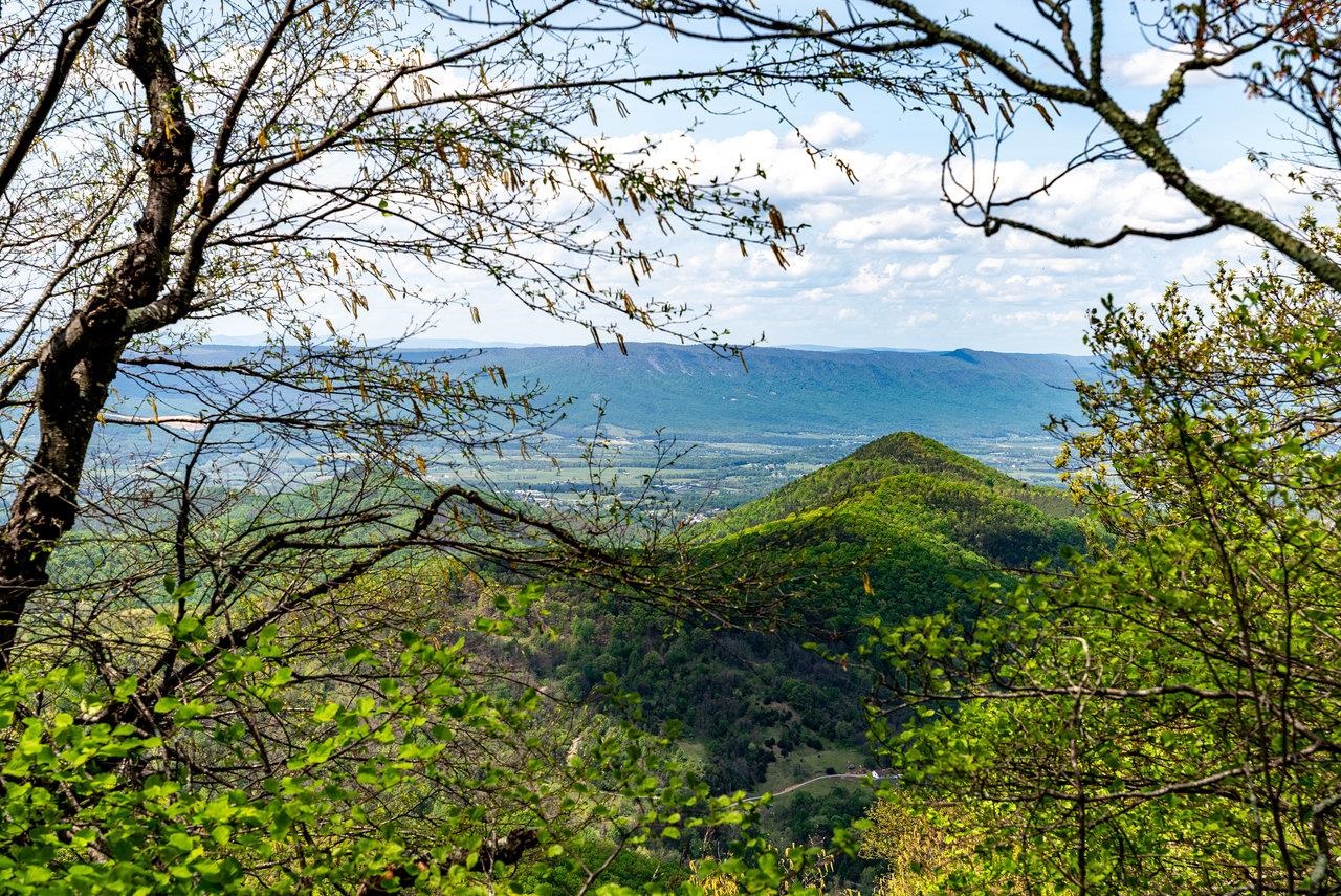 1797 CUBBAGE HOLLOW RD