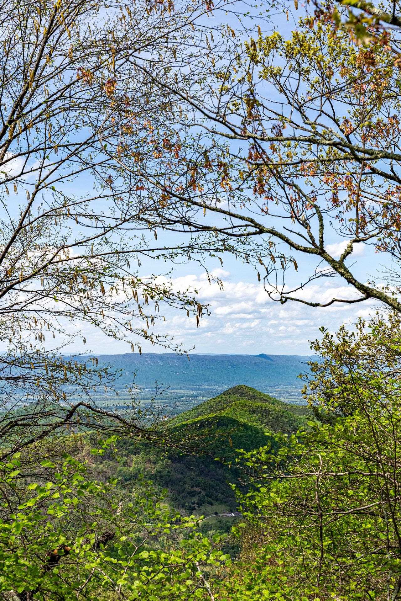 1797 CUBBAGE HOLLOW RD