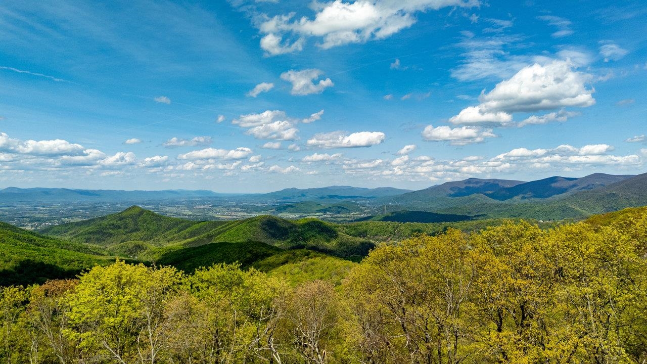 1797 CUBBAGE HOLLOW RD