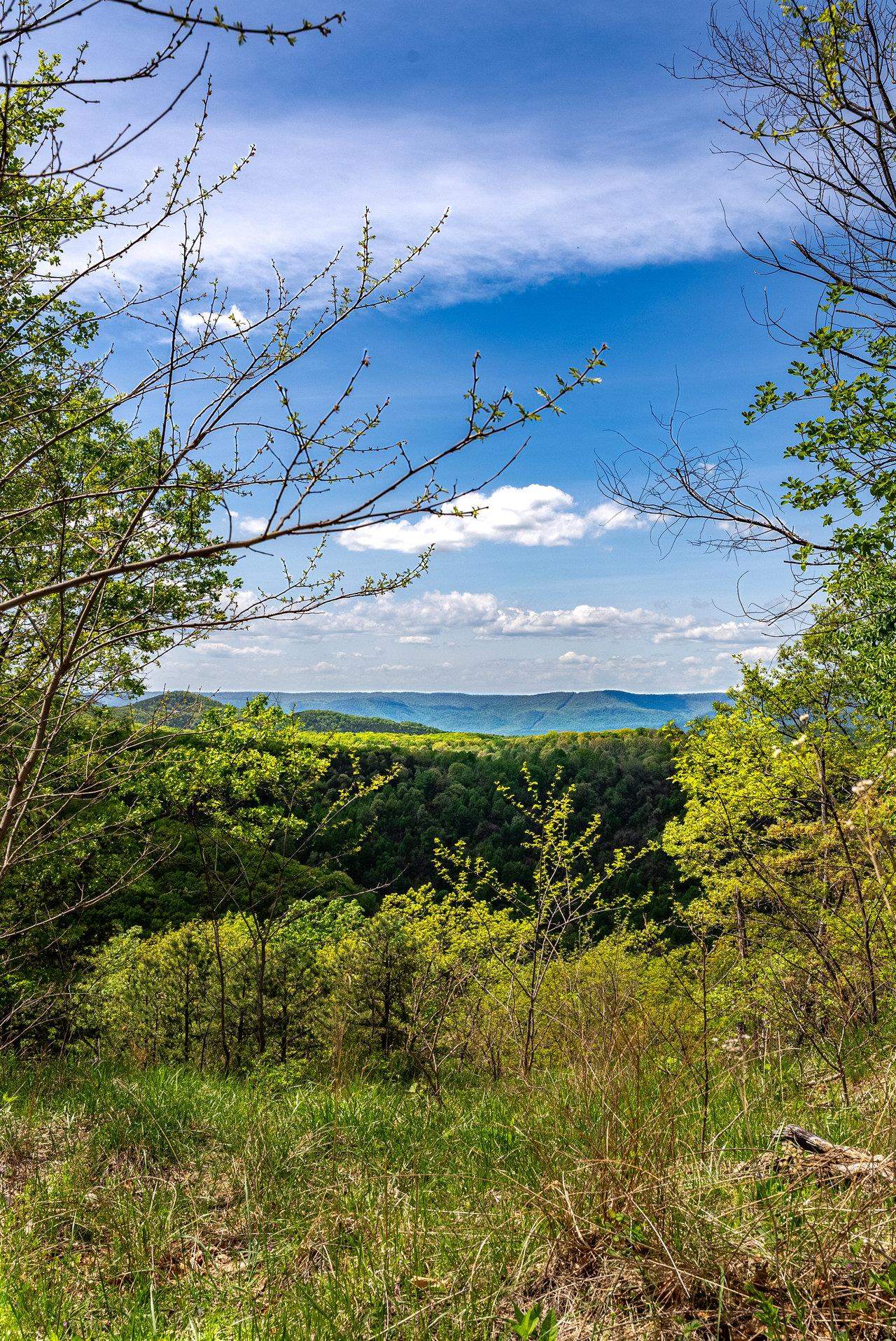 1797 CUBBAGE HOLLOW RD