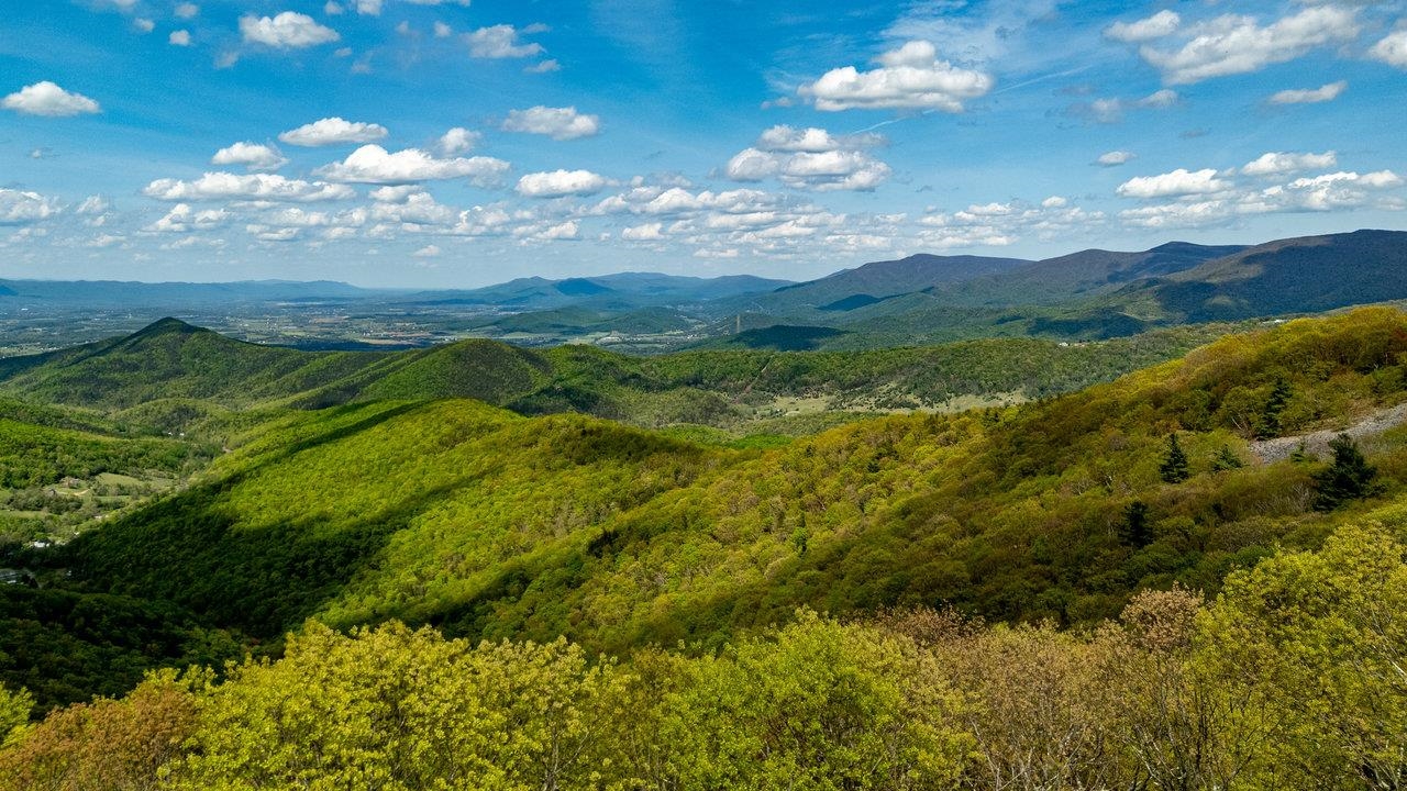 1797 CUBBAGE HOLLOW RD