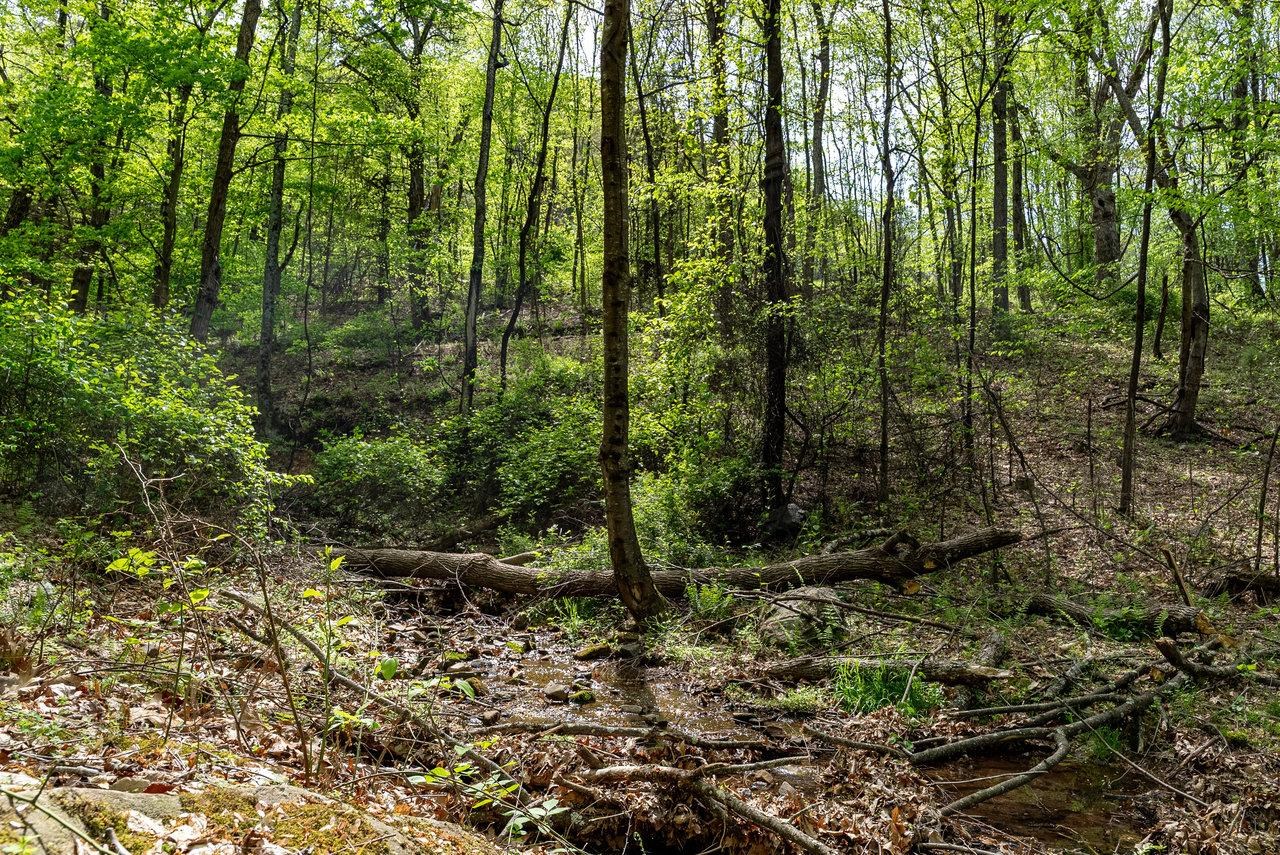 1797 CUBBAGE HOLLOW RD