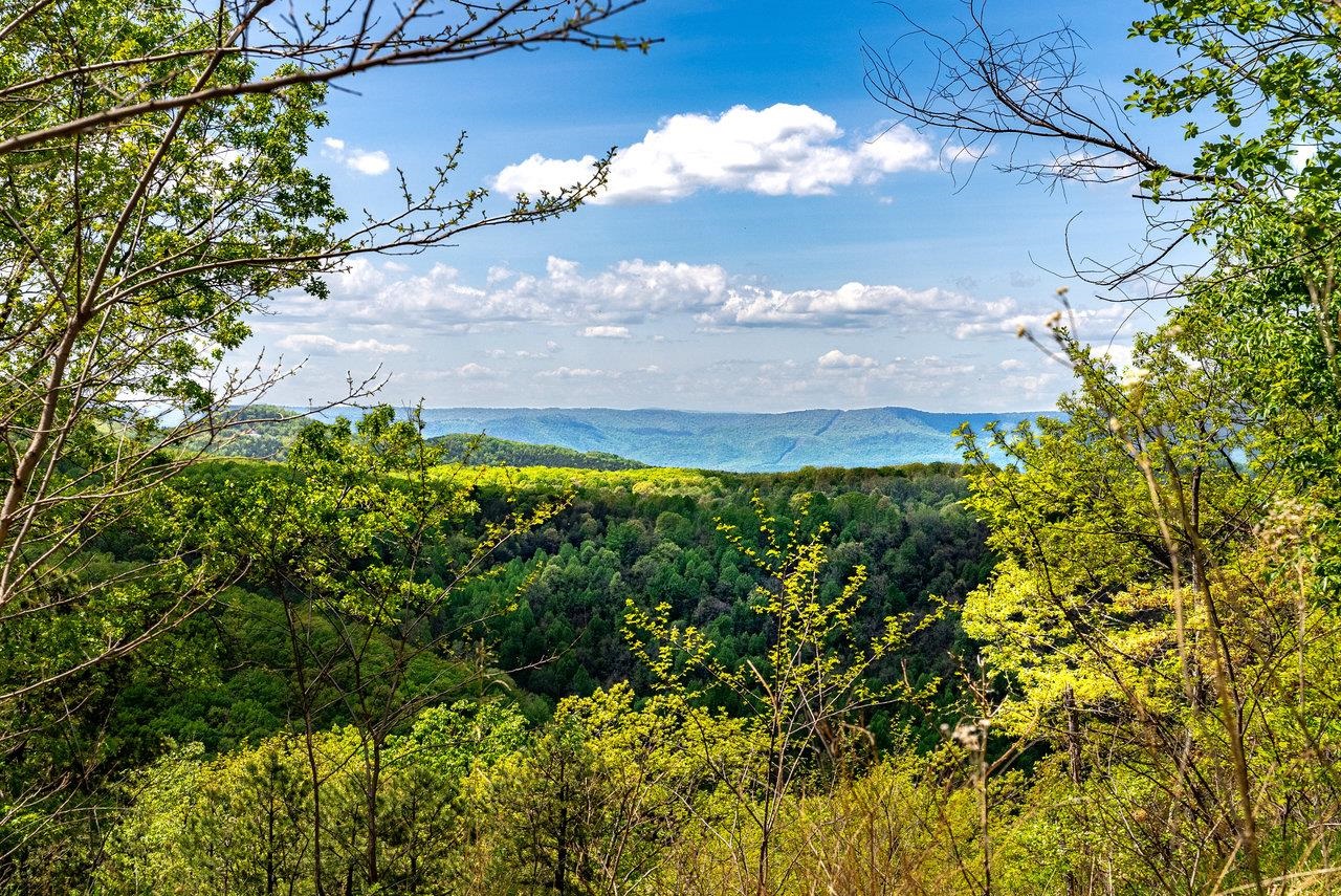 1797 CUBBAGE HOLLOW RD