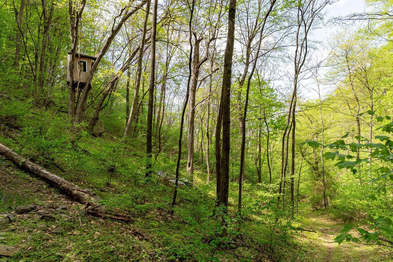 1797 CUBBAGE HOLLOW RD