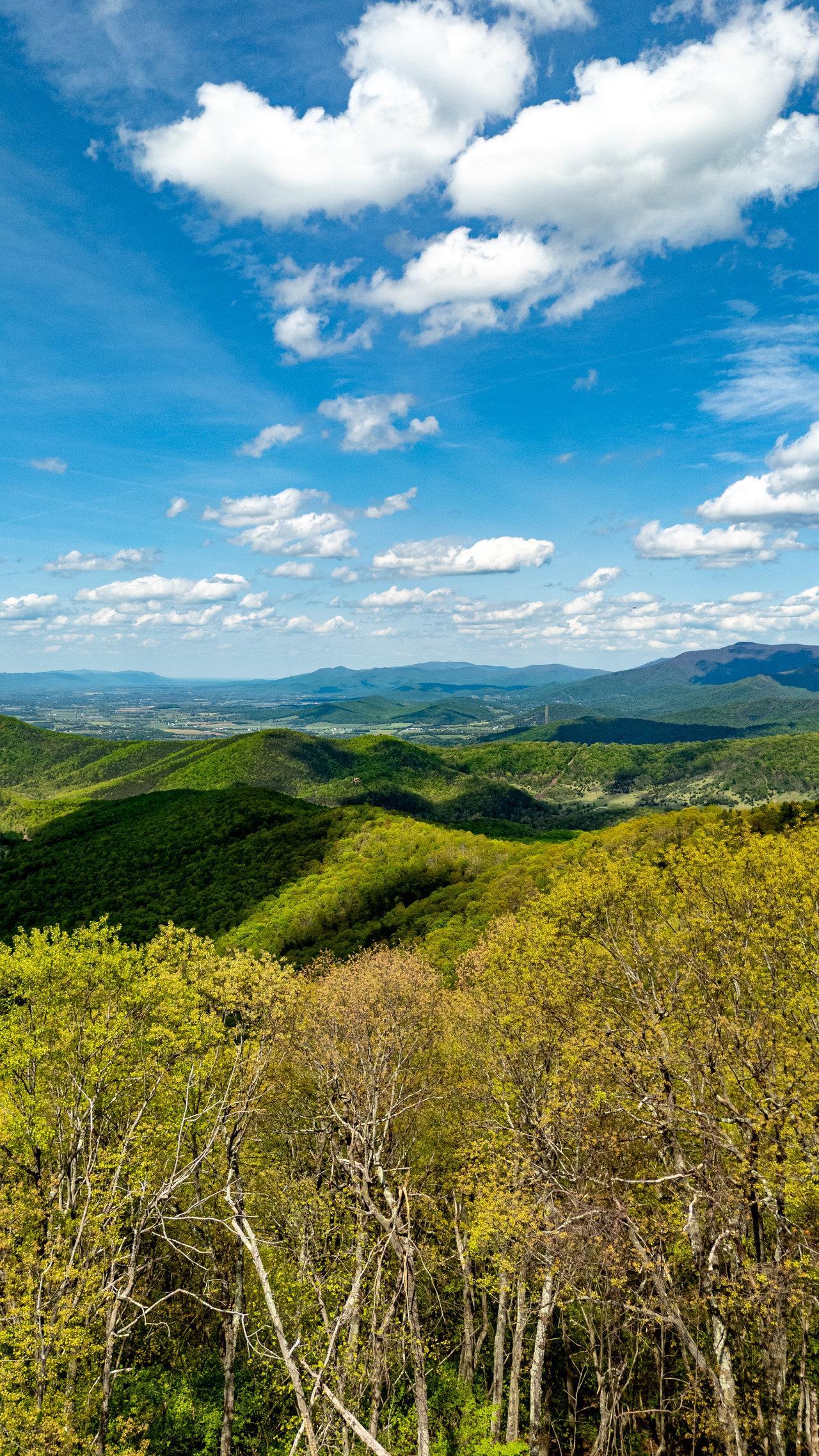 1797 CUBBAGE HOLLOW RD