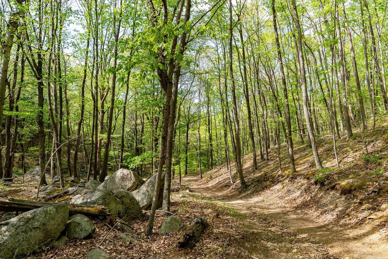 1797 CUBBAGE HOLLOW RD