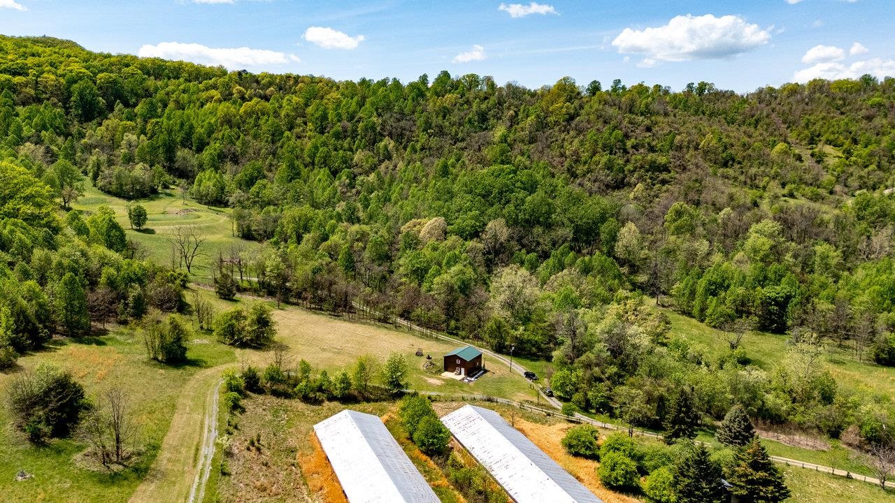 1797 CUBBAGE HOLLOW RD