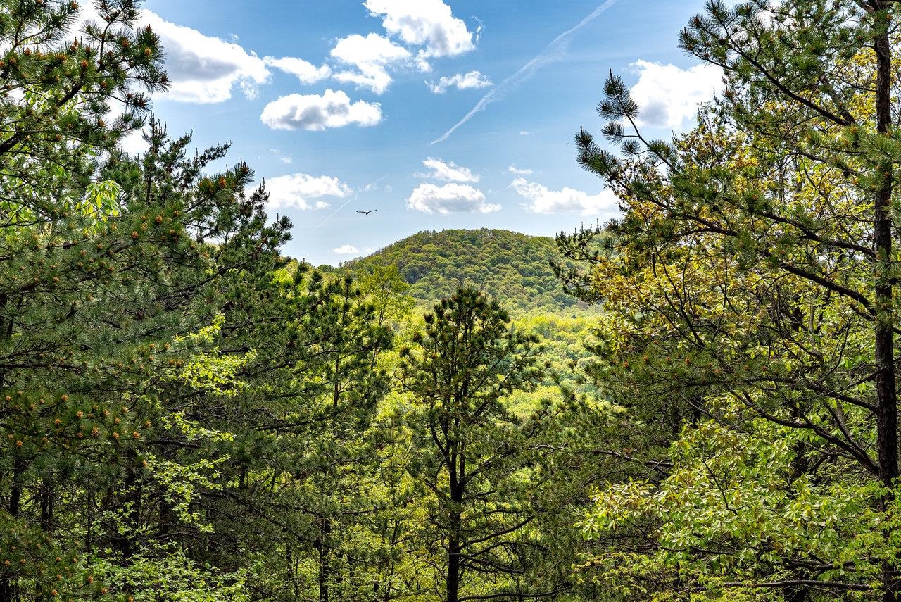 1797 CUBBAGE HOLLOW RD