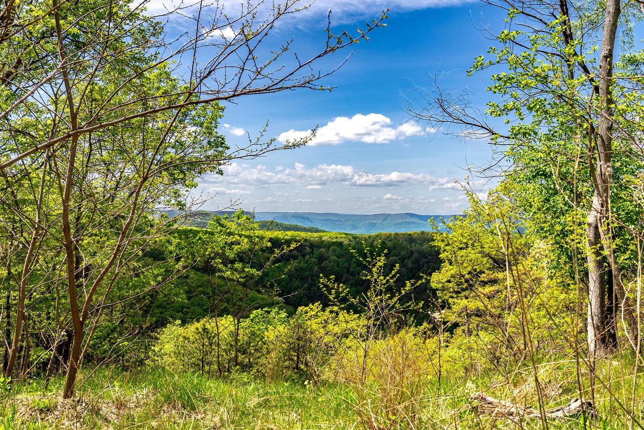 1797 CUBBAGE HOLLOW RD