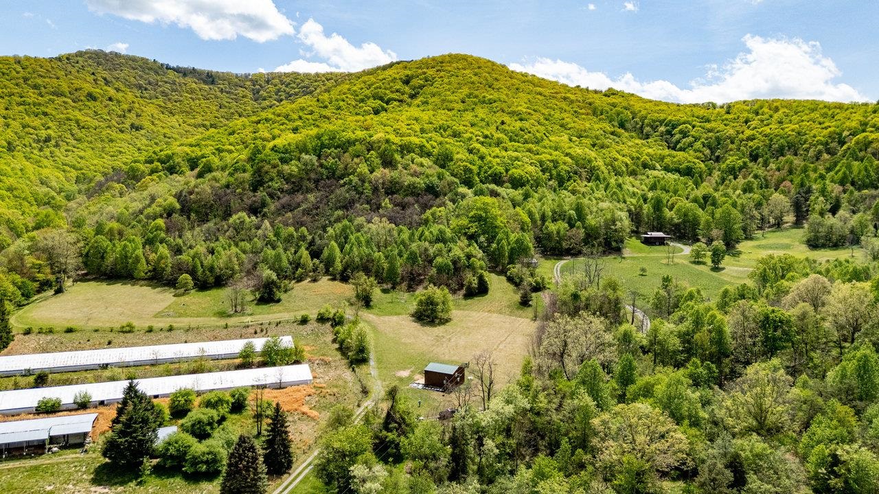 1797 CUBBAGE HOLLOW RD