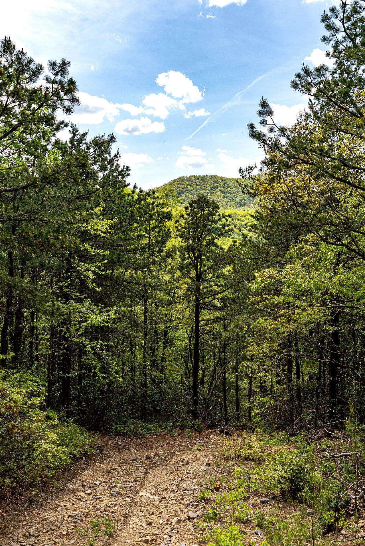 1797 CUBBAGE HOLLOW RD