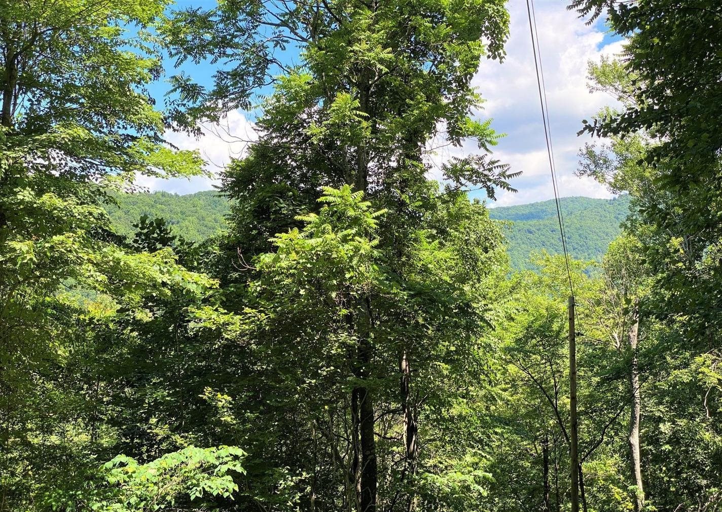 TBD OVERLOOK MOUNTAIN RD